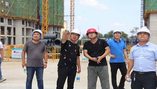 完美官方网页版董事会巡检圆满完成